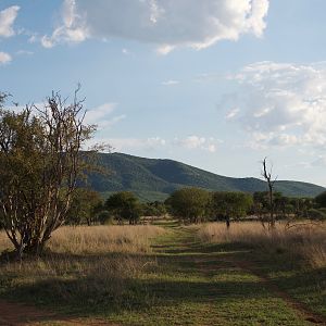 South Africa Hunting Area