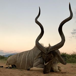 Hunting Kudu in South Africa