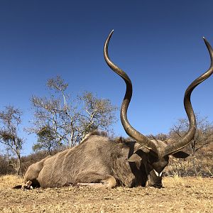 Hunting Kudu in South Africa