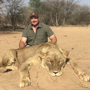 Lioness Hunt South Africa