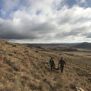 Hunting Vaal Rhebok in South Africa