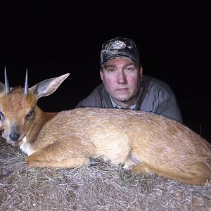 South Africa Hunt Cape Grysbok