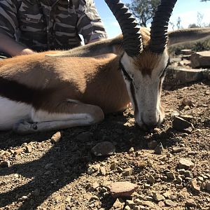 Hunting Springbok in South Africa