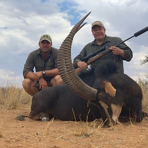 Sable Antelope Hunt Namibia