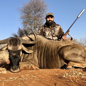 South Africa Hunting Blue Wildebeest