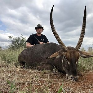 Hunt Waterbuck in South Africa