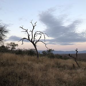 Hunting Area in South Africa