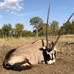 Gemsbok Hunting South Africa