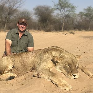 Lioness Hunting South Africa