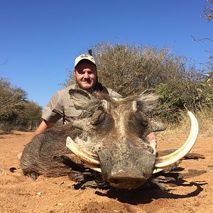 South Africa Hunt Warthog