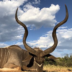 South Africa Hunt Kudu