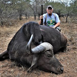 Hunt Cape Buffalo in South Africa