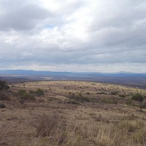 South Africa Hunting