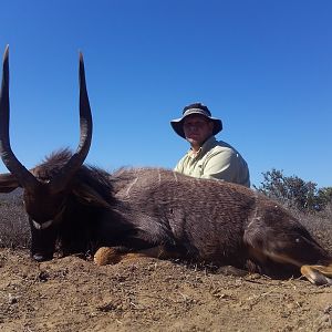 South Africa Hunting Bushbuck