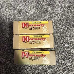 375 Ruger Hornady Ammunition