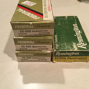 22-250 Remington Ammo