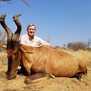 Red Hartebeest Hunt South Africa