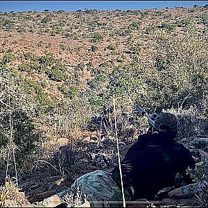 Hunting Kudu in South Africa