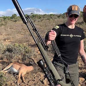 Hunt Impala in South Africa