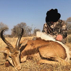 Springbok Hunting South Africa