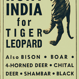 India Hunting Add