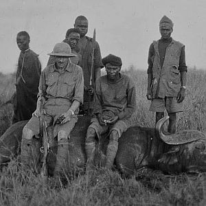 Cape Buffalo Hunting