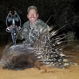 Porcupine Crossbow