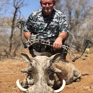 Warthog with Compund bow