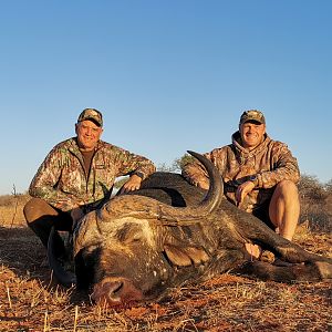 Buffalo Hunting South Africa