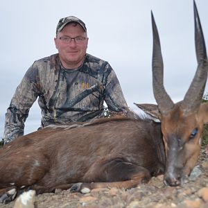 South Africa Hunting Bushbuck