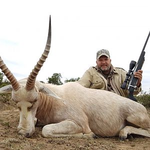 White Blesbok Hunting South Africa