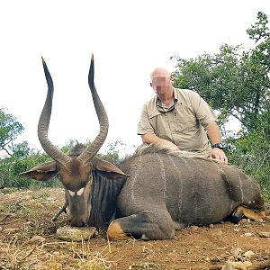 South Africa Hunt Nyala