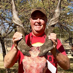 South Africa Hunting Eland