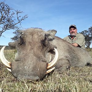 Warthog Hunting South Africa