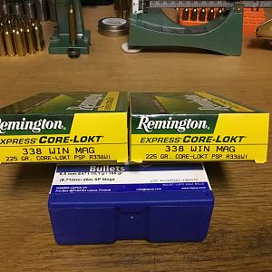 Remington 338 win mag 225 grain PSP’s