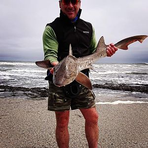 Fishing Spotted Gully Shark in Namibia