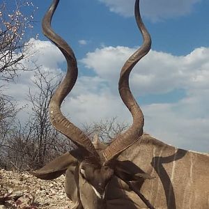 Kudu Hunting Namibia