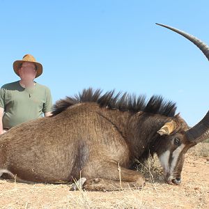 Hunt Sable Antelope in South Africa