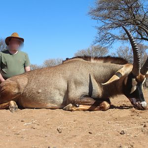 Roan Hunting South Africa