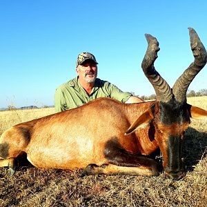 South Africa Hunt Red Hartebeest