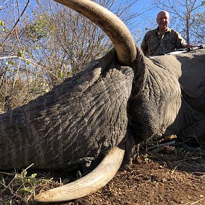 Zimbabwe Hunting Elephant