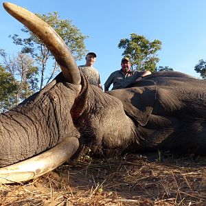 Hunt Elephant in Zimbabwe