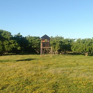 Hunting Blind Argentina