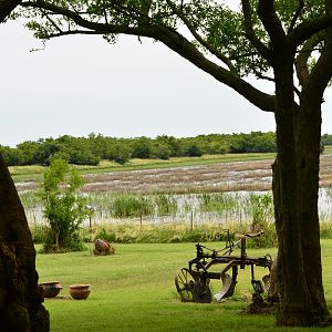 View from Lodge Argentina