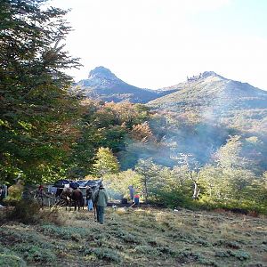 Hunting in Argentina