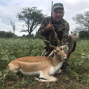 Hunt Blackbuck in Argentina