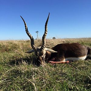 Hunting Blackbuck in Argentina