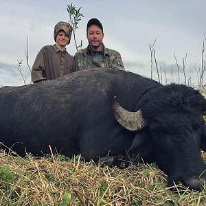 Water Buffalo Hunting Argentina