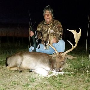 Hunting Fallow Deer in Argentina