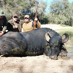 Hunt Water Buffalo in Argentina